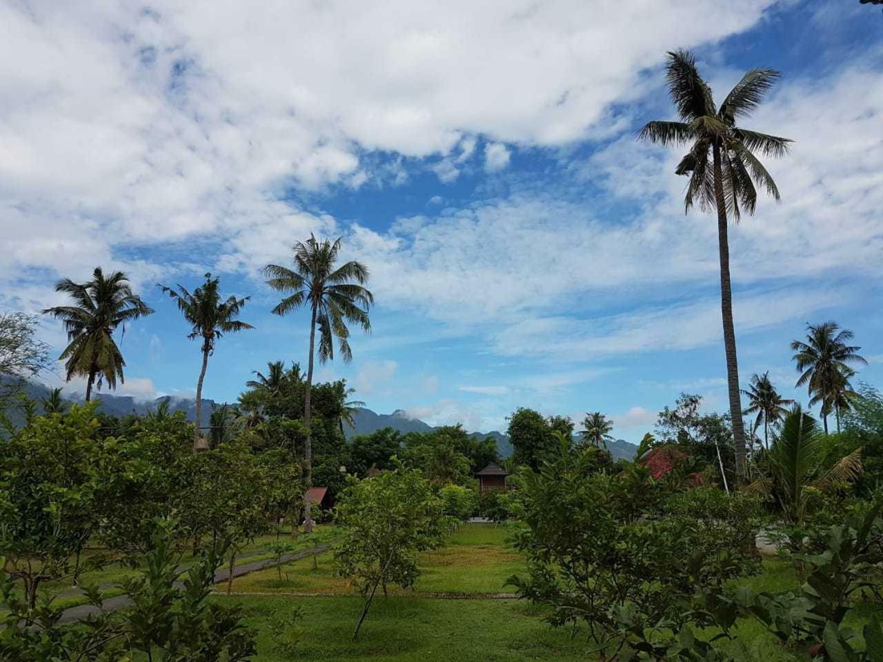 Buana Ecofarm Ecolodge Grokgak Exterior photo