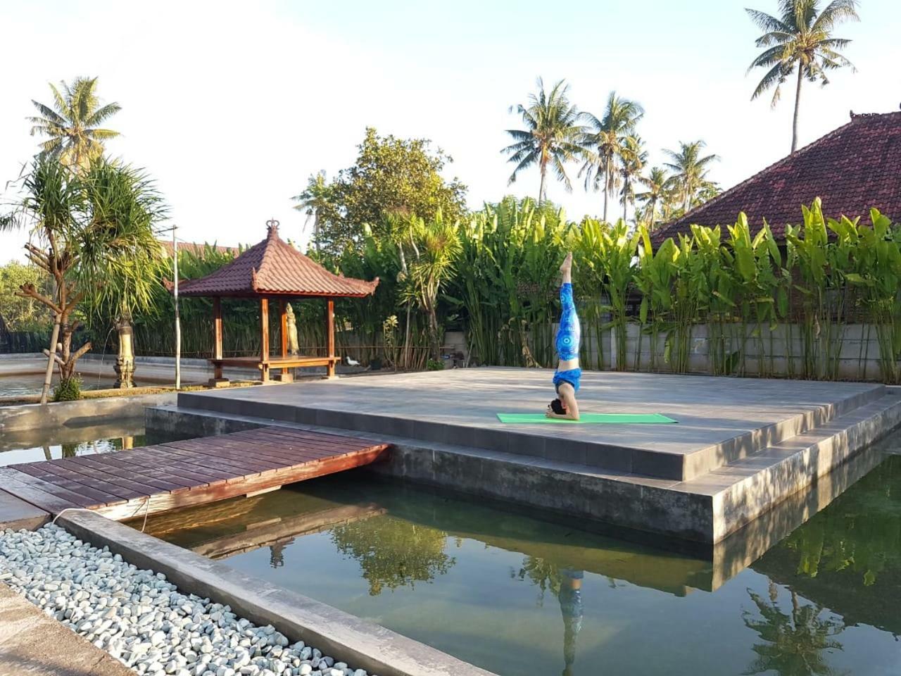 Buana Ecofarm Ecolodge Grokgak Exterior photo
